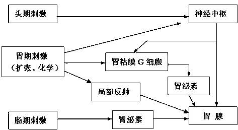 下图表示胃液分泌的部分调节机制,根据所学知识,据图分析回答