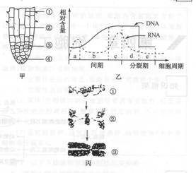 孟德尔遗传定律 习题_孟德尔遗传定律教案范文_符合孟德尔遗传定律