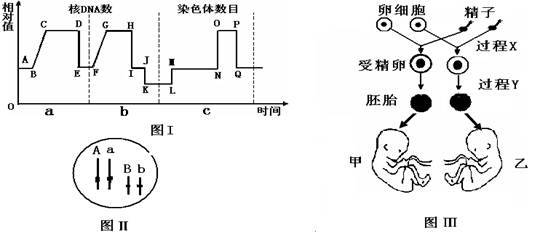 图i为妻子某细胞分裂过程中dna含量变化曲线图,图ii示意某夫妇的体