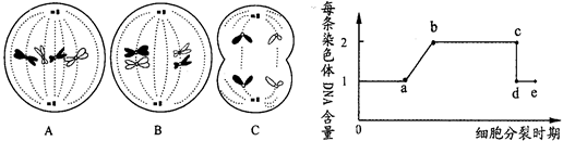 下面是某个高等动物体内细胞分裂的示意图,右面的曲线图表示该动物