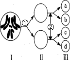 图i表示的细胞中有8条染色体,4个染色体组b.