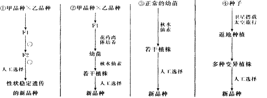 下面①⑤列举了五种育种方法请回答相关问题