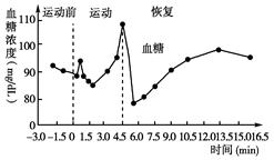 正常情况下,人的血糖含量维持在90 mg/dl左右.