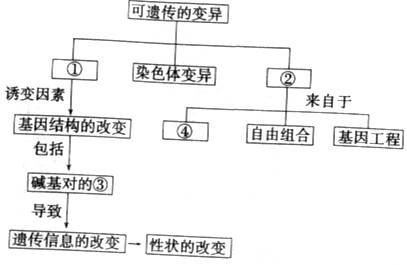 下图是有关生物变异来源的概念图,请据图回答