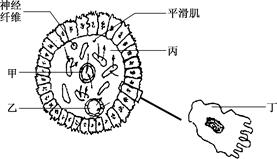 2011届江苏省南京市金陵中学高三第四次模拟考试(理综