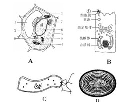 (13分)下图的a,b,c,d是4种不同类型的细胞结构示意图