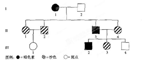 狗的一个复等位基因系列控制皮毛中色素的分布.等位基因a