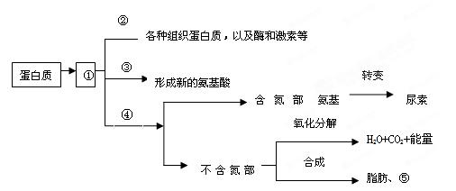 2011-2012学年广西桂林十八中高二上学期期中考试生物