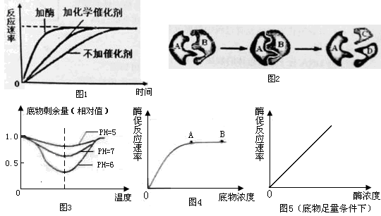 46 解读与酶有关的图示,曲线,回答有关问题