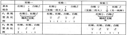 群体中出现的一只白眼雄性果蝇,设计了如右表所示的一系列杂交实验