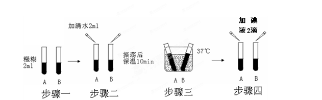 (2)已知淀粉遇碘变蓝,若步骤四的实验结果是a号试管