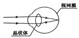 如图所示是人眼球的成像原理图,晶状体相当于一个凸透镜,视网膜相当