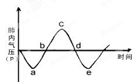 右图是人在平静呼吸时肺内气体压力变化的示意图,处于b点时,肺内气压