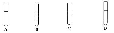 【题文】将等体积的苯,汽油和水在试管中充分混合后静置.