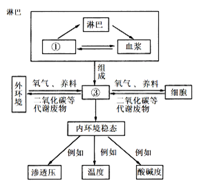 下面是人体内环境稳态概念图,据图回答