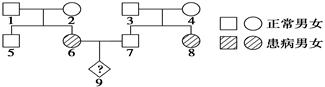 如图为某种遗传病的家族系谱图,据图分析,9号的发病概率为