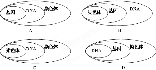 【题文】下列图示中,能正确表示染色体,dna,基因三者关系的是)题