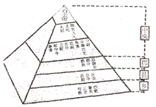 这种组织模式的本质特征是