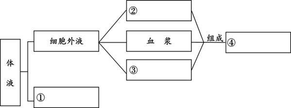 (8分)下面是有关人体体液组成的概念图,请在方框内填入相应内容.