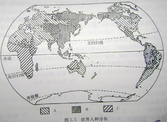 2012年粤教版初中地理七年级上5.2世界的人种、语言和宗教练习卷