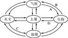 高中地理综合库 自然地理 自然地理环境的整体性与差异性 自然地理