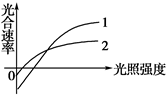 实际光合速率_实际光合速率等于_光合速率的单位