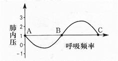 【题文】右图是某人在平常的一次平静呼吸中肺内气压的变 化曲线图,请