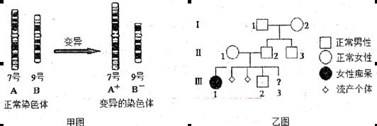 变异的7号或9号染色体上基因的发生了改变.