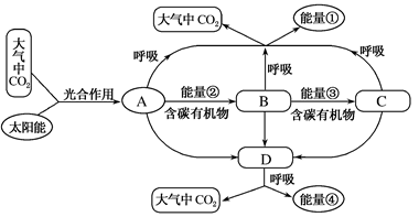 分析以下生态系统的能量流动和物质循环的关系简图,不