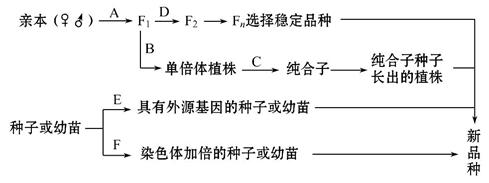 下图为水稻的几种不同育种方法示意图,据图回答