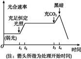 实际光合速率_光合速率的单位_实际光合速率等于