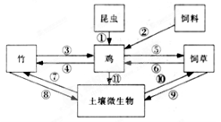 第3节 生态系统的物质循环