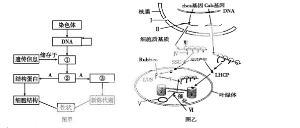 v生物的生物高中练习题及分子-基础答案-第92页大连高中普及哪一年图片
