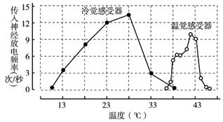 如图示大鼠皮肤冷觉感受器和温觉感受器在不同温度时的传入神经放电