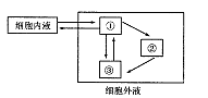 如图表示人体细胞内液与细胞外液进行物质交换过程的示意图,有关叙述