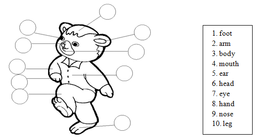给小熊的身体部位填上合适的序号(10分)