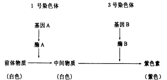 高中音乐试讲教案模板_高中生物试讲教案模板_初中数学试讲教案模板