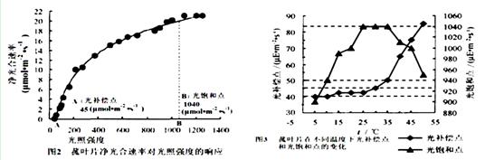 光合作用特性进行研究,将菰的倒数第三片功能叶片在不同温度和光照