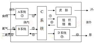 人体由八大系统构成的一个统一整体.