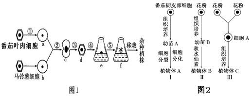 "杂种植株,如图1所示,其中①～⑤表示过程,英文字母表示细胞,组织或