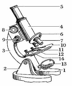 根据下面的显微镜结构图,回答下列问题.