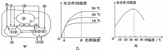 充足的条件下,光合作用强度与环境因素之间的关系.请据图回答问题