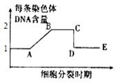 染色体组是什么意思?举一个例子说明一下