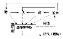 下图为某一生态系统示意图,据图分析得到的结论错误的