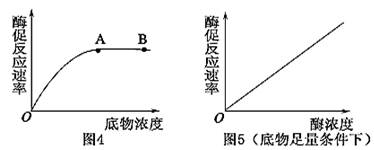 请你解读与酶有关的图示,曲线