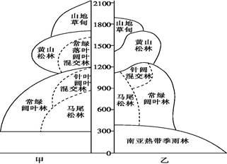 读我国甲,乙两山地东南坡植被对比图,回答下题.