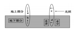 生长素可以进行极性运输 b.生长素可以进行非极性运输 c.