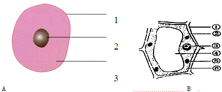 如图是两种不同类型的生物细胞结构示意图,请据图回答