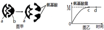 图甲表示酶催化反应过程的示意图,图乙表示在最适温度