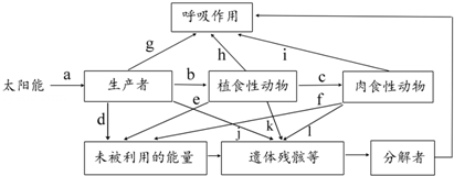 图是某草原生态系统的能量流动示意图,其中a,b,c分别表示流入各营养级